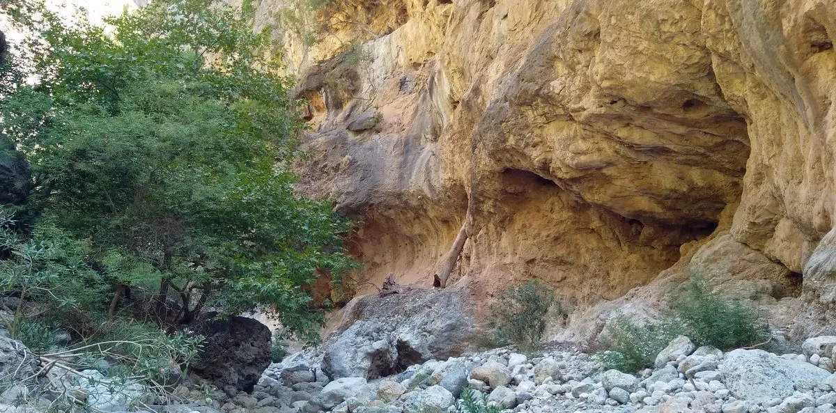 Der Grund der Agia-Irini-Schlucht im Spätsommer