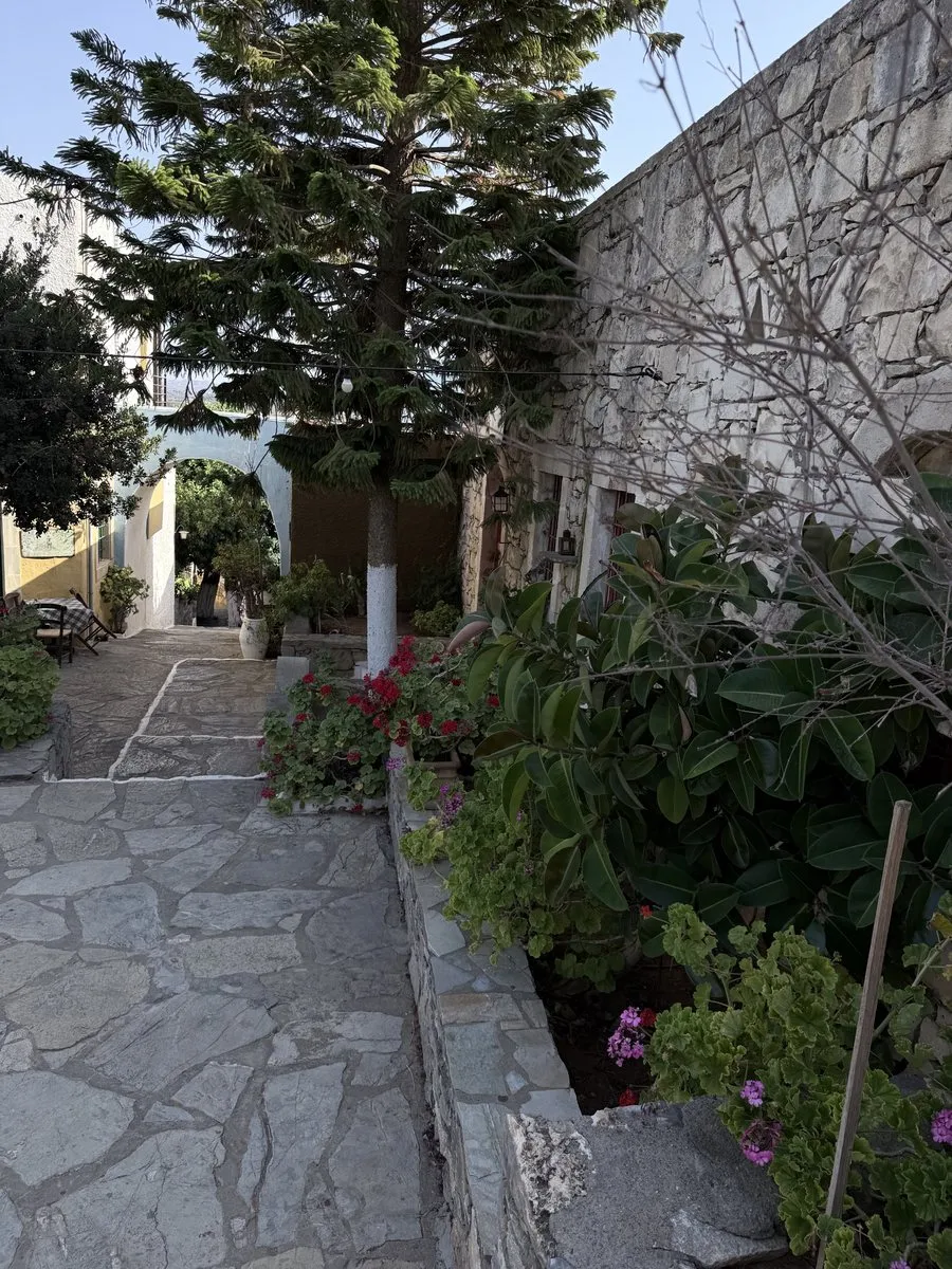 A stepped stone lane at Arolithos with geraniums and a Norfolk pine