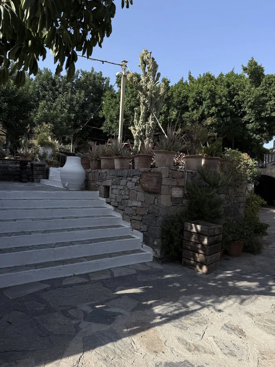 Whitewashed steps and a terracotta jar below the taverna terrace at Arolithos