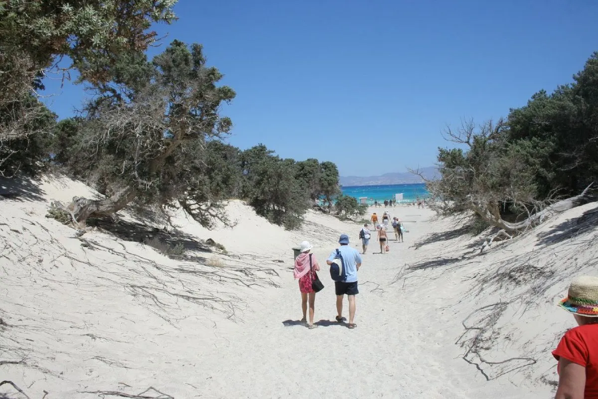 The sandy path through the cedars on Chrissi