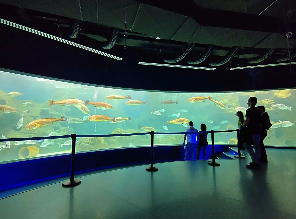 The big tank at Cretaquarium