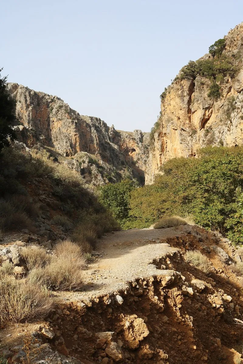 Reste eines alten Betonwegs in der Deliana-Schlucht, darüber Felswände und Bäume