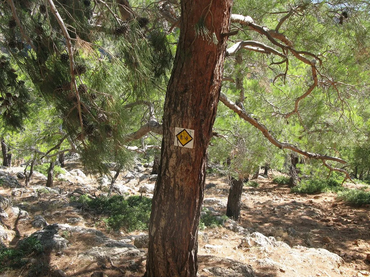Eine E4-Markierung an einem Baum in der Nähe von Sougia