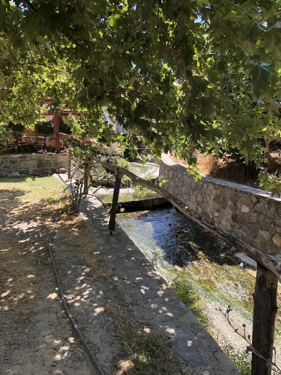The stream running through the middle of Elos under plane trees
