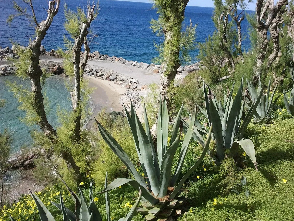 Eine kleine Sandbucht an der Küste von Geropotamos zwischen Agaven und Tamarisken