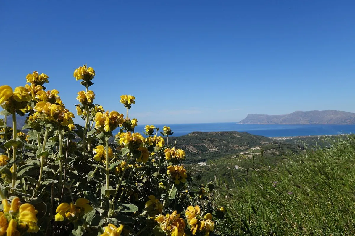 The bay of Kissamos from the flowering hills above