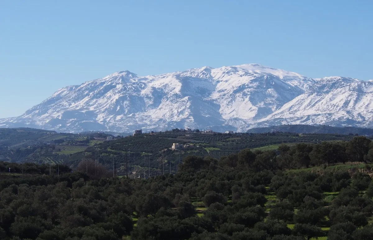 Der Psiloritis in voller Winterschneedecke, über Olivenhaine hinweg aus der Nähe von Heraklion gesehen