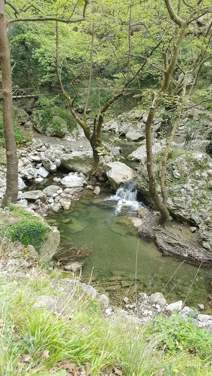Ein klares grünes Becken zwischen Felsen und Bäumen in der Patsos-Schlucht