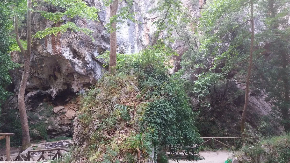 Hohe Platanen und eine Felswand auf dem grünen Grund der Prassiano-Schlucht
