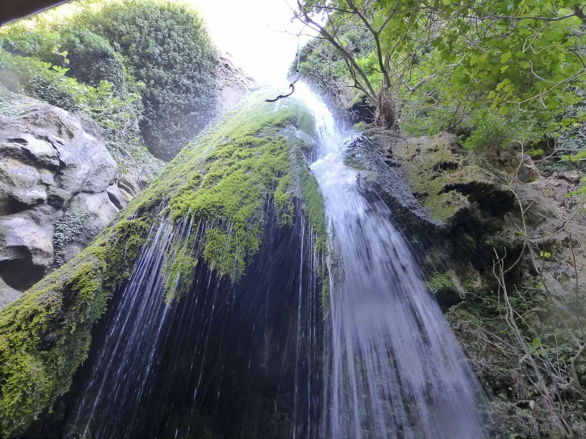 The mossy curtain of the Richtis waterfall