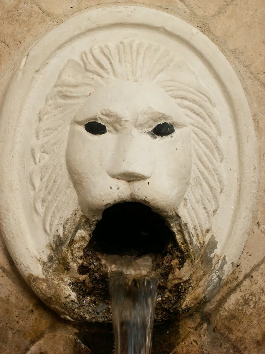 One lion head up close, water still running