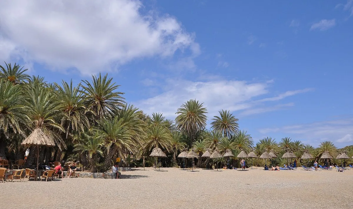 The organised heart of Vai under the palms