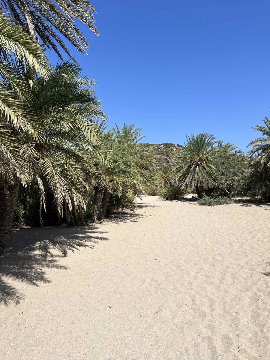 Open sand at Vai with palms along one side and a dry rocky hill behind